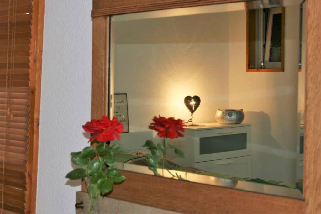 Gemütliches großzügiges Apartment Höhr-Grenzhausen Exterior foto